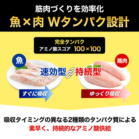 \リニューアル版!/ 魚筋カレー【まとめ買いがお得!】